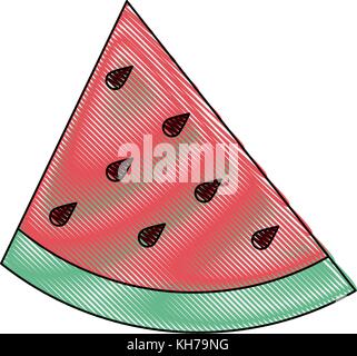 Delicious Watermelon fruit Stock Vector