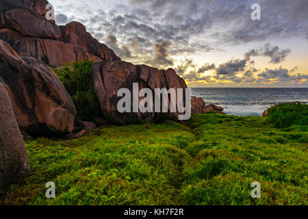 Lush green grass and red granite rocks in the sunrise on la digue on the seychelles. Stock Photo