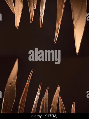 Closeup of few pieces of cracked glass on dark background Stock Photo