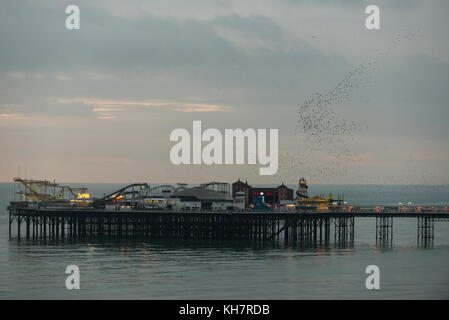 Brighton, East Sussex. 15th Nov, 2017. Brighton, East Sussex. 15th November 2017. UK weather. Sunset at the end of a mild Brighton day where a flock of thousands of starlings put on a murmuration display above Brighton’s piers. The birds have returned after a summer as far aways as Scandinavia, and over winter in the UK, sleeping under Brighton’s piers by night, and feeding on the Downs and nearby farmland during the day. Credit: Francesca Moore/Alamy Live News Stock Photo