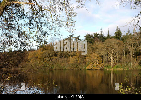 Hillsborough Forest Park in County Down, Northern Ireland Stock Photo ...