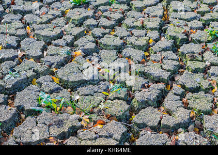 Cracked earth from drought - France. Stock Photo