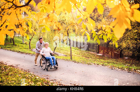 Senior couple in wheelchair in autumn nature. Stock Photo