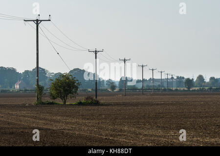 Flat, rural, farmland landscape with long line of wooden poles supporting hi-voltage electricity power lines - Burnby, East Yorkshire, England, UK. Stock Photo