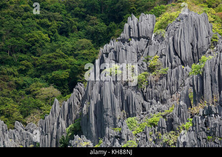 Limestone Philippines Rocks Limestone rocks on the coast of El Nido and Bacuit Archipelago ...