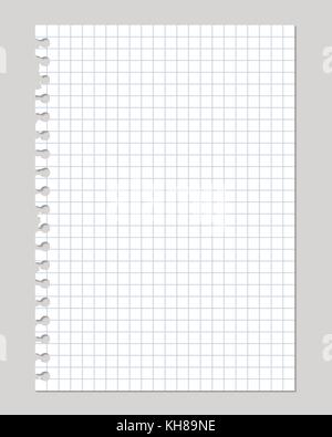 vector realistic illustrations of a torn sheet of paper from a workbook with shadow, isolated on a gray background Stock Vector
