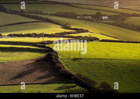 Early morning sunlight over fields in Newquay Cornwall UK. Stock Photo