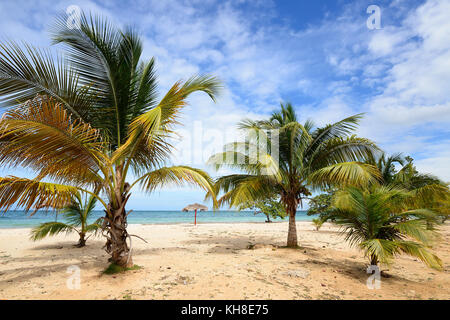 Sand Las Coloradas beach and turquoise water and palm tress on the wild coast of Cuba Stock Photo