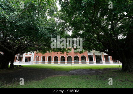 The banyan tree conversation project of NCKU, Taiwan. Stock Photo