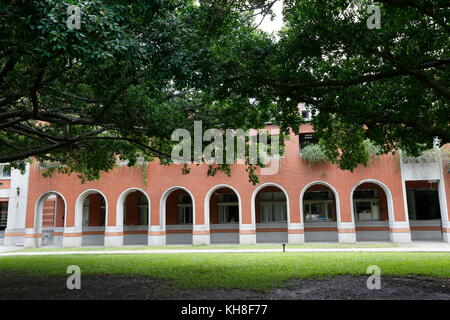 The banyan tree conversation project of NCKU, Taiwan. Stock Photo