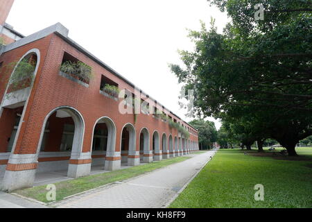 The banyan tree conversation project of NCKU, Taiwan. Stock Photo