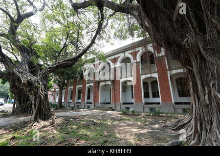 The banyan tree conversation project of NCKU, Taiwan. Stock Photo