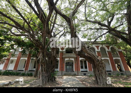 The banyan tree conversation project of NCKU, Taiwan. Stock Photo