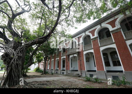 The banyan tree conversation project of NCKU, Taiwan. Stock Photo