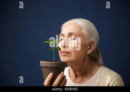 Elderly charming woman sniffs young plant with eyes closed, over dark blue background Stock Photo