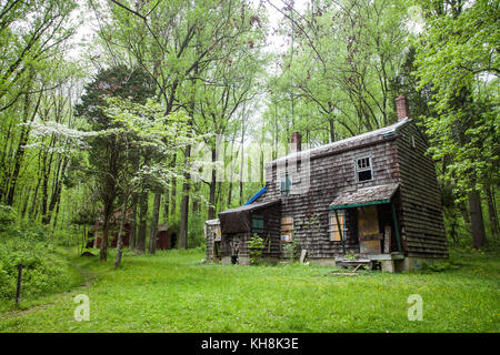 Abandoned house in the woods Stock Photo