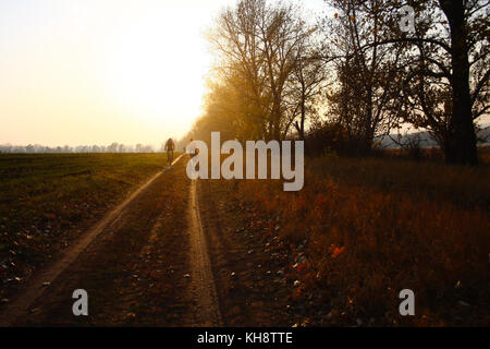 Silhouette of three cyclist riding on an open field during amazing sunset Stock Photo