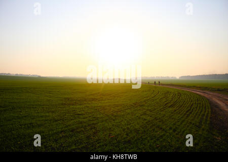 Three cyclist riding their bike on an open field at sunset in autumn Stock Photo