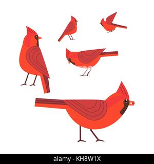 Red cardinal bird set. Stock Vector