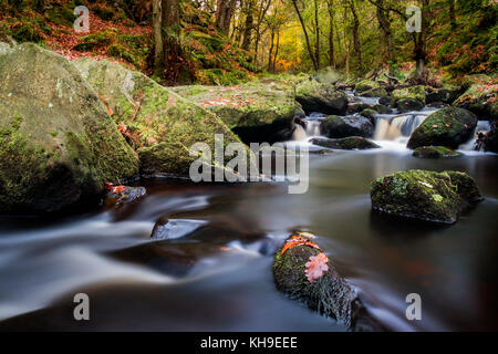 This image of Padley Gorge in the Peak District, Derbyshire was taken using a slow shutter speed making the water appear like silky, molten chocolate. Stock Photo