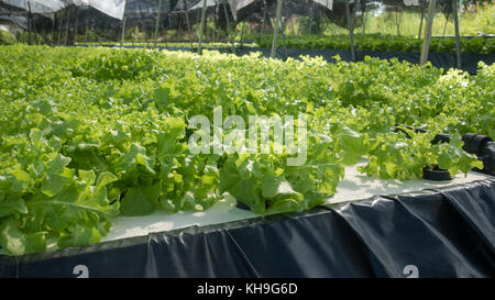 Hydroponic Supplies Preston