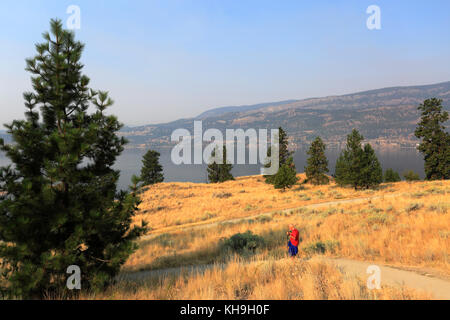 Walker on Knox Mountain natural park, Kelowna City, Okanagan region, British Columbia, Canada Stock Photo