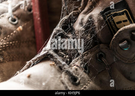 Old winter shoes with spider web closeup Stock Photo