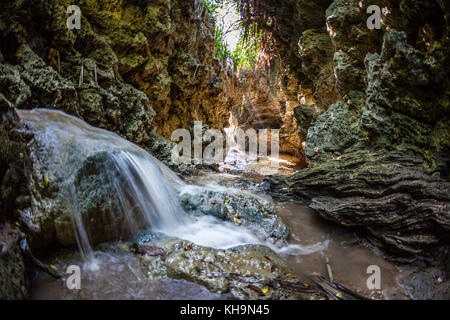 Andersons Dale Trail, Christmas Island, Australia Stock Photo