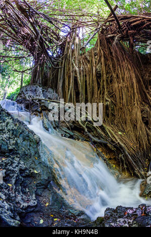 Andersons Dale Trail, Christmas Island, Australia Stock Photo