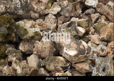 Mass of flint stones fist size or larger dry and chipped ready to make a dry stone wall some coated in algae and moss Stock Photo