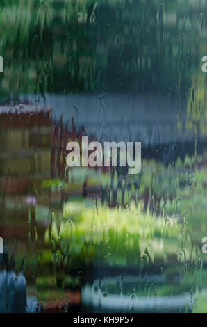 distorted view of early spring flowers and plants through window covered in heavy rain downpour, longing to get outside and enjoy gardening in garden Stock Photo