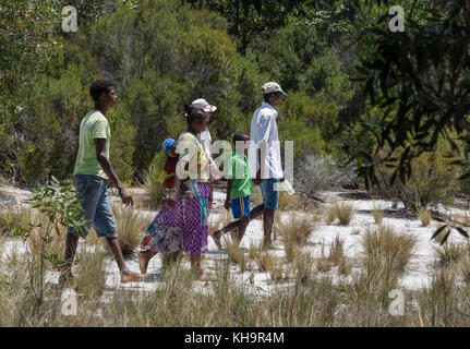 A family walking towards Zebu sacrifice ceremony, Lake Ampitabe, Toamasina, Madagascar, Africa Stock Photo