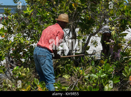 An old man clear the bushes with a machete at a Zebu sacrifice ceremony, Lake Ampitabe, Toamasina, Madagascar, Africa Stock Photo
