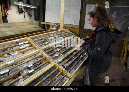 A geologist looking at rock core samples taken by a mining exploration company prospecting for gold, near Stewart, British Columbia, Canada. Stock Photo
