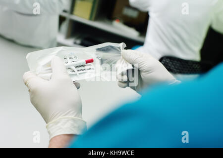 Syringe for inserting a chip for animals Stock Photo