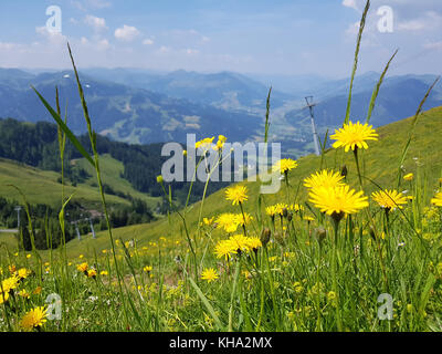 Kitzbueheler Alpen, Aussicht, Kitzbueheler Horn Stock Photo