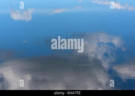 Abstract natural background of the lake water, the reflections of the sky and clouds, circles on the water and beautiful small waves Stock Photo