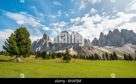 Mountain meadow near Gschnagenhardt Alm, in the back Geislerspitzen, Villnösstal, Sass Rigais, Dolomites, South Tyrol, Italy Stock Photo