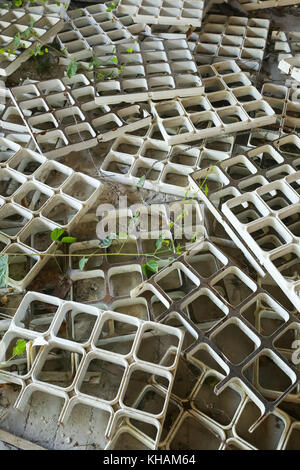 A view of plastic decoration for ceiling scattered on the floor. Stock Photo