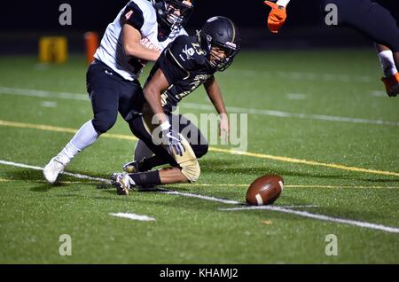 Players reacting to a fumble on the turf in an attempt to make a recovery. USA. Stock Photo