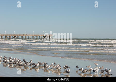 Bicycle rider on beach near pier with reflections. Stock Photo
