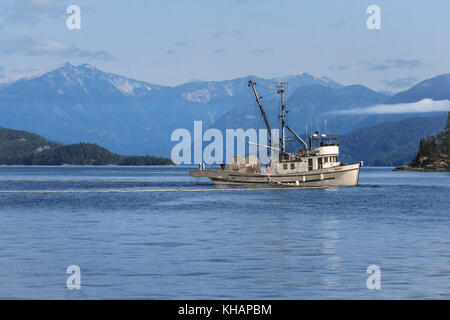 Fishermen on the Canadian vessel 'Marinet' tend a seine net during a commercial salmon fishery in Johnstone Strait, BC (Coast Range in background). Stock Photo