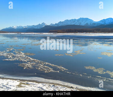 Floating ice in the Chilkat River in Southeast Alaska near Haines after the first snow in early winter. Stock Photo