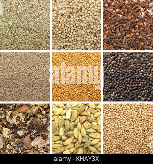 Collage of different herbs and spices background Stock Photo