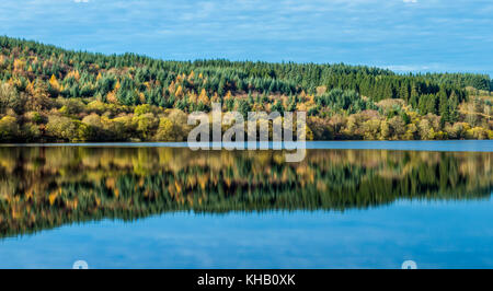 Trees Reflected in Llwyn Onn Reservoir Brecon Beacons National Park south Wales