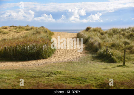 Sandy beach path to the sea through grassy dunes in Norfolk, England Stock Photo