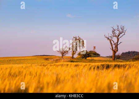 Landschaft in Abendstimmung Stock Photo