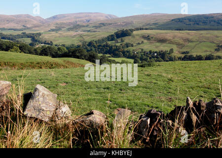 The Annandale valley in the Moffat hills of the Scottish Borders, just north of Moffat Stock Photo