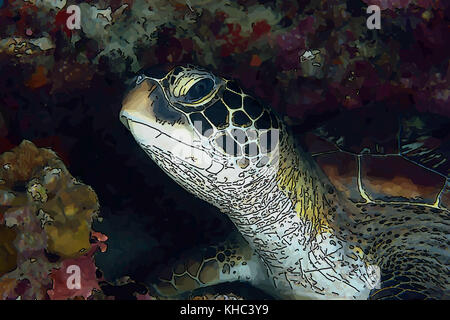 Green sea turtle, Chelonia mydas, resting below a coral overhang in Moalboal, Cebu, The Philippines.