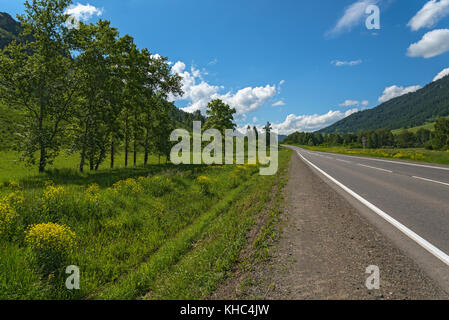 Scenic view from the asphalt road, mountains, trees, meadow with yellow flowers against a blue sky with clouds Stock Photo